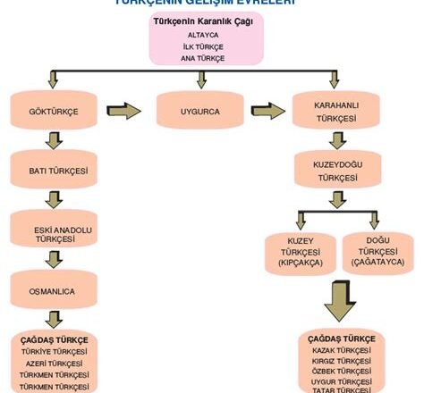 Türkçenin tarihi gelişimi